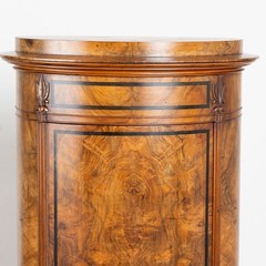 19th Century Danish Mahogany Veneer Column Cabinet with Single Door