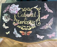 Collectors Cabinet, Dark Acedamia, Goth. One Of A Kind. Signed By Artist