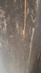 Antique Chimney Cupboard from 18th Century Mystic CT House 57″ Hand Made