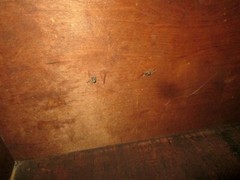TRUE ANTIQUE AMERICAN FEDERAL SALEM INLAID MAHOGANY BREAKFRONT CIRCA 1800’s