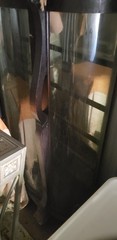 Antique Tiger Oak Curved Glass Cabinet