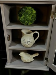 Mason Dixon Gray Farmhouse 3-Shelf Wall Curio Cabinet Glass Door 12×17