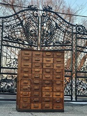 Large solid wood, antique multi drawer card catalog cabinet