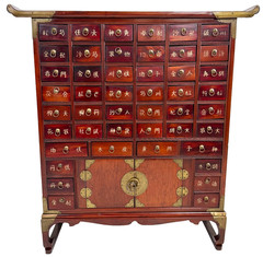 Early 20th-C Chinese Apothecary 46-Drawer Elm Wood Herb Chest Medicine Cabinet