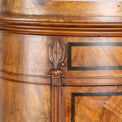 19th Century Danish Mahogany Veneer Column Cabinet with Single Door