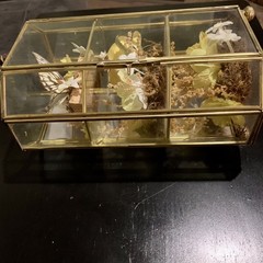 Vintage Butterfly Taxidermy Floral In Brass And Glass Curio Cabinet 8 1/4”x5”x4”