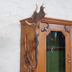 Large Black Forest Antler Gun Cabinet ca. 1900