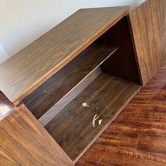 Vintage Lane Mid Century Modern MCM Storage Cabinet