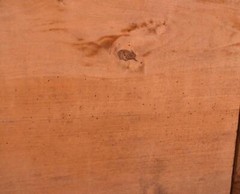 Antique French Cabinet Highly Carved Chestnut Wood w/Boy Girl and Bird (Macaw)