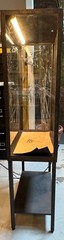 Antique Industrial Glass and Metal Display Cabinet