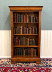 Vintage French Louis Philippe Bookcase Display Cabinet Cherry Mid 20th c