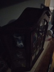 Antique Wood Wall Mountable 3 shelf Curio Cabinet With Glass Windows