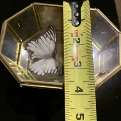 Vintage Butterfly Taxidermy Floral In Brass And Glass Curio Cabinet 8 1/4”x5”x4”
