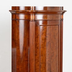 19th Century Danish Mahogany Narrow Column Cabinet