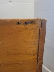 Vintage Wooden Drawer Trinket Tray Curio Shadowbox 12 Slots