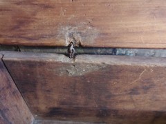 Pennsylvania Dutch Early American Antique Mini Chest 18th Century Tulips